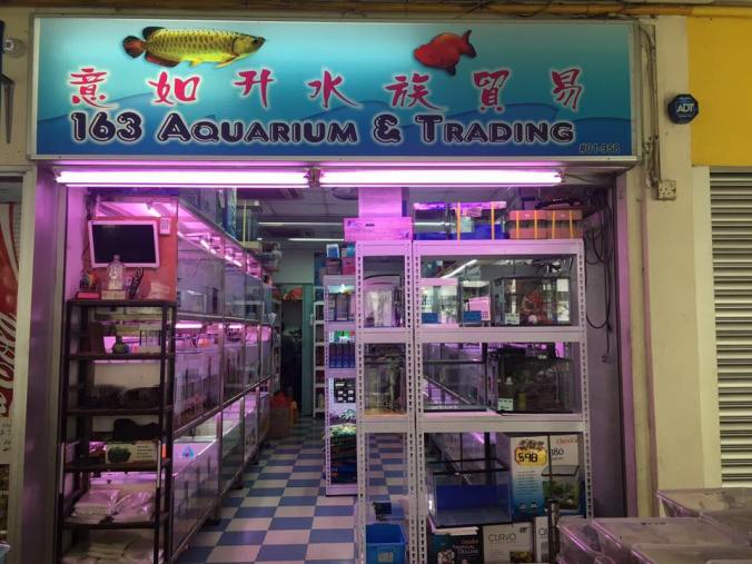 163 aquarium and trading.jpg